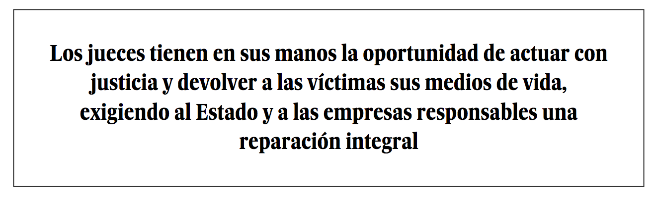Los jueces tienen en sus manos la oportunidad de actuar con justicia y devolver a las víctimas sus medios de vida, exigiendo al Estado y a las empresas responsables una reparación integral