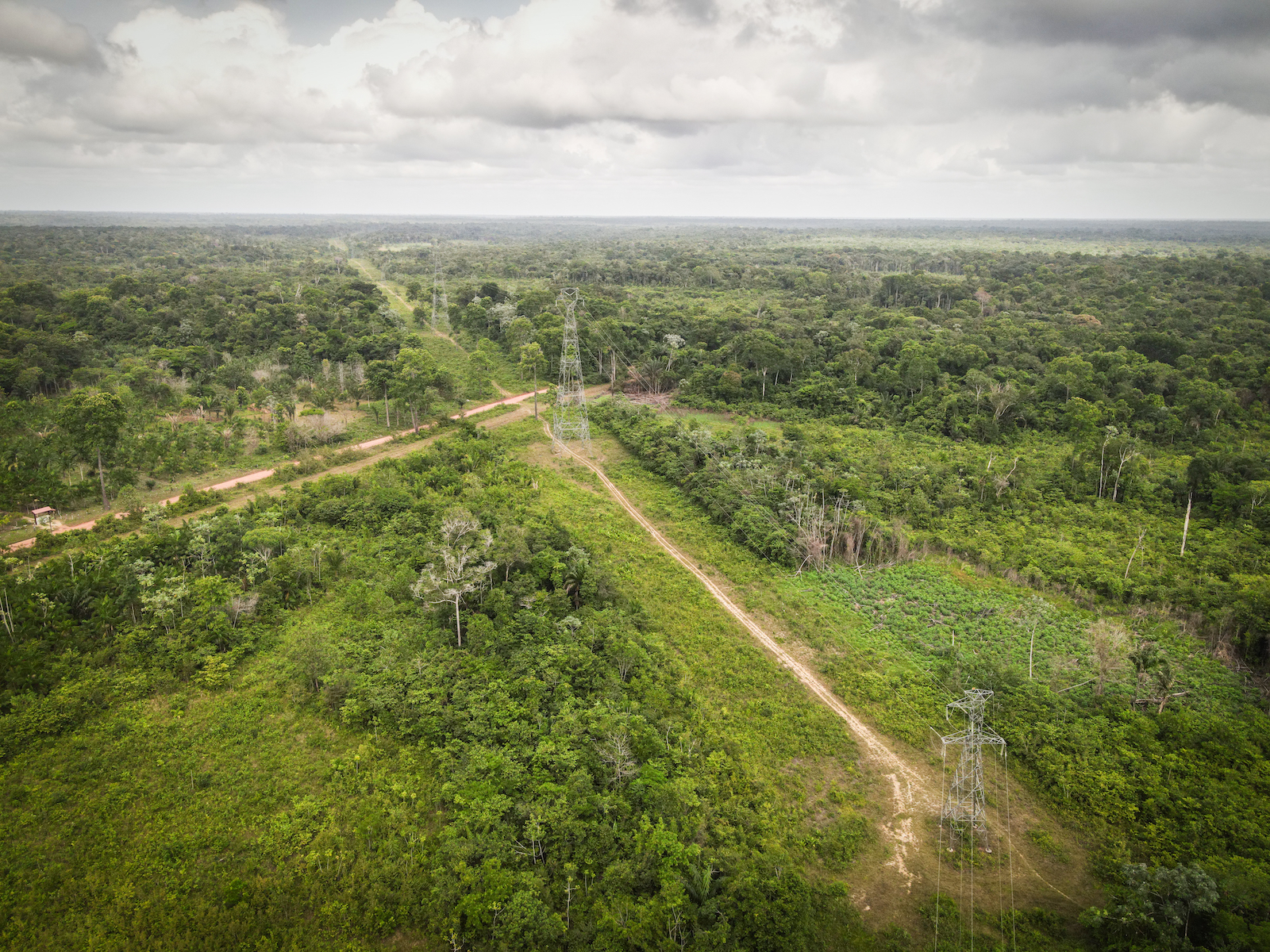 Aerial view of power transmission lines cutting through the forest.