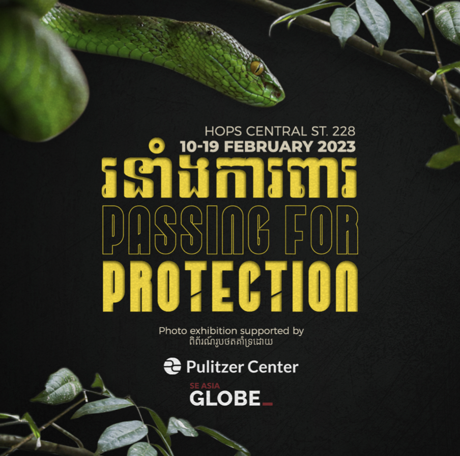 passing for protection2.png