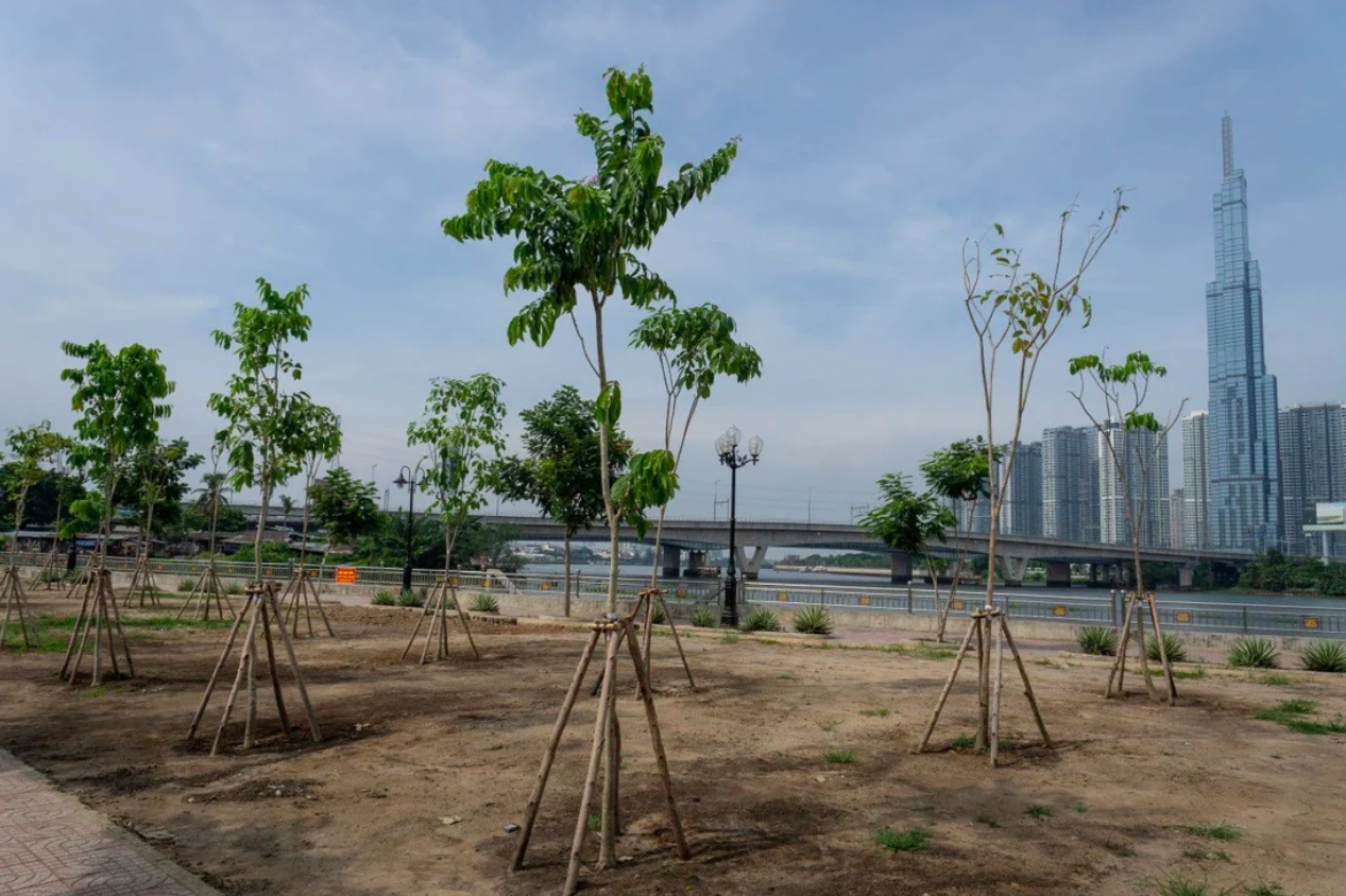 newly-planted trees in the foreground with Ho Chi Minh City skyline in the background