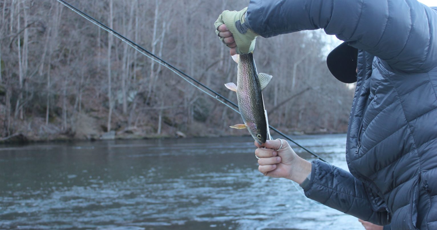 Galen Kipar, owner of Asheville Fly Fishing Company, holds a trout on the Watauga River. Image by Emma Johnson. United States, 2021. Galen Kipar, owner of Asheville Fly Fishing Company, holds a trout on the Watauga River. Image by Emma Johnson. United States, 2021.