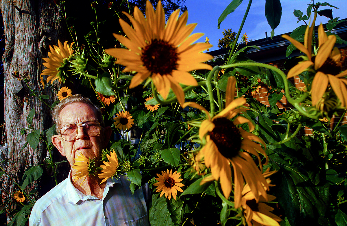 Portrait of an elderly man wearing a blue button-up shirt and aviator eyeglasses standing in front of a tree and surrounded by sunflowers.