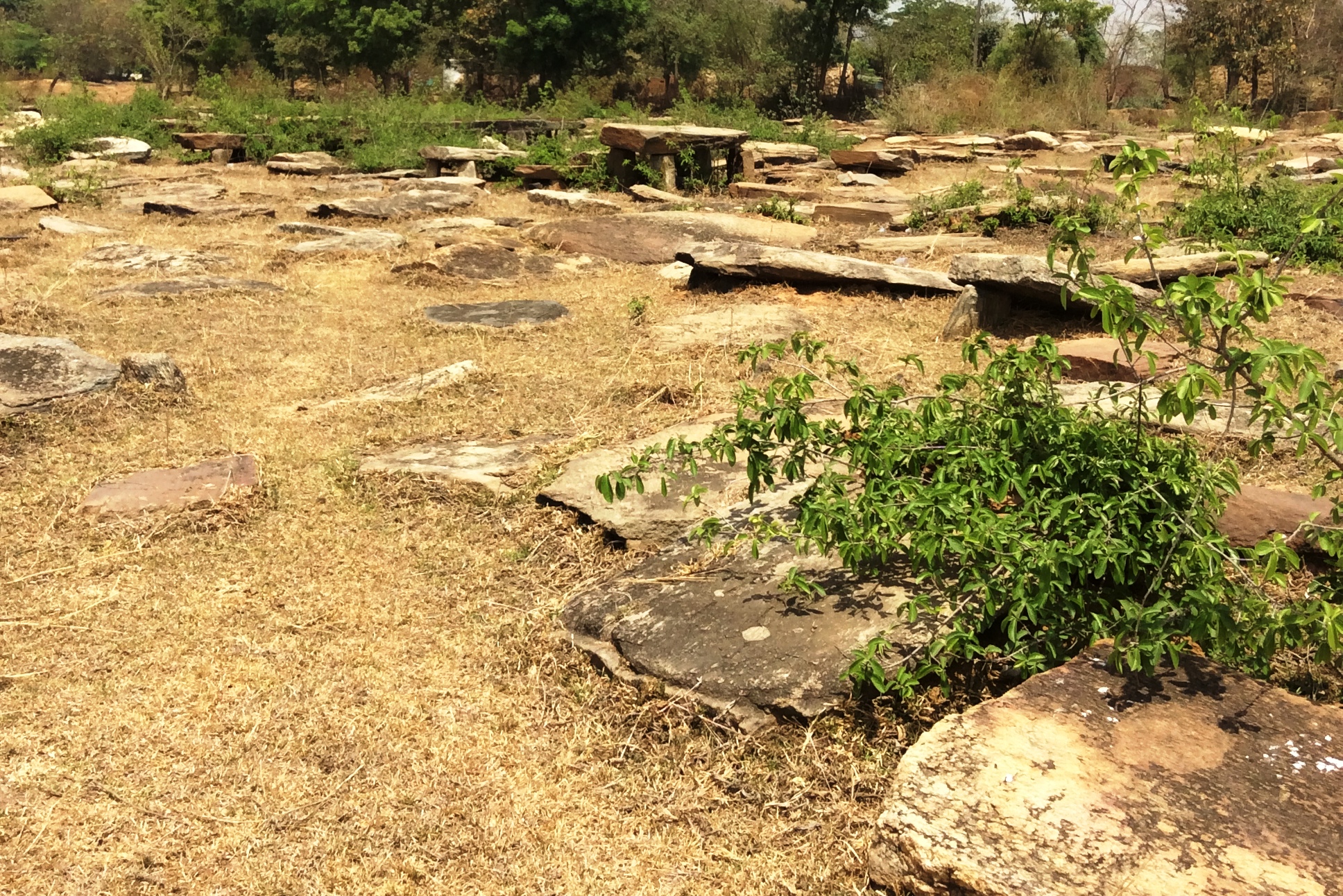 Rocks of Ages: Jharkhand’s millennia-old megalithic sites are under ...