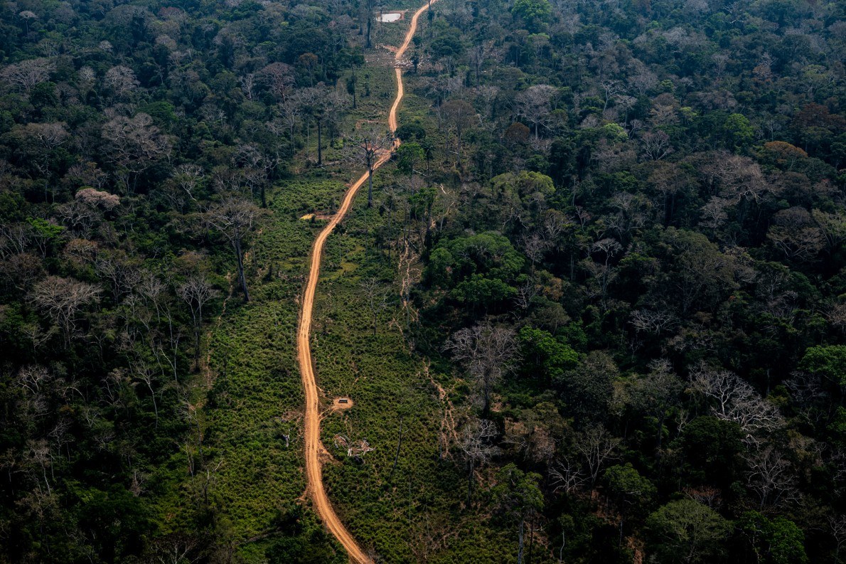 Amazon rainforest area in Acre. Deforestation points are easily identifiable by satellite imagery along the roads. Image by Marcio Pimenta. Brazil, 2019. Amazon rainforest area in Acre. Deforestation points are easily identifiable by satellite imagery along the roads. Image by Marcio Pimenta. Brazil, 2019.