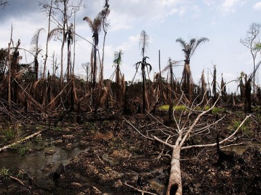 Niger Delta Oil Disaster, Photo by Socialist Youth League of Norway on Flickr (CC-BY-ND)
