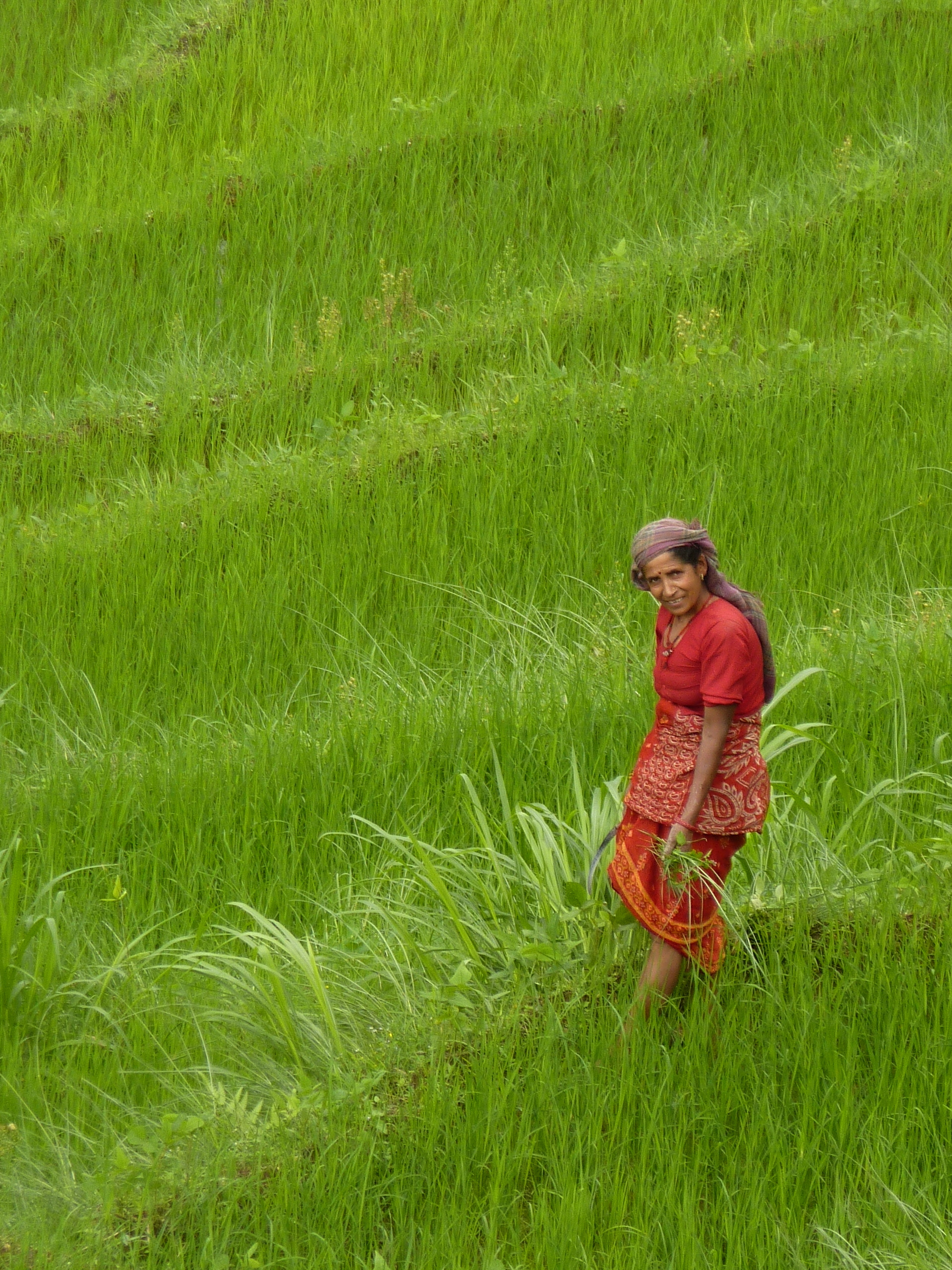 Image by Anna Tomasulo. Nepal, 2011. Media file: rita.jpg