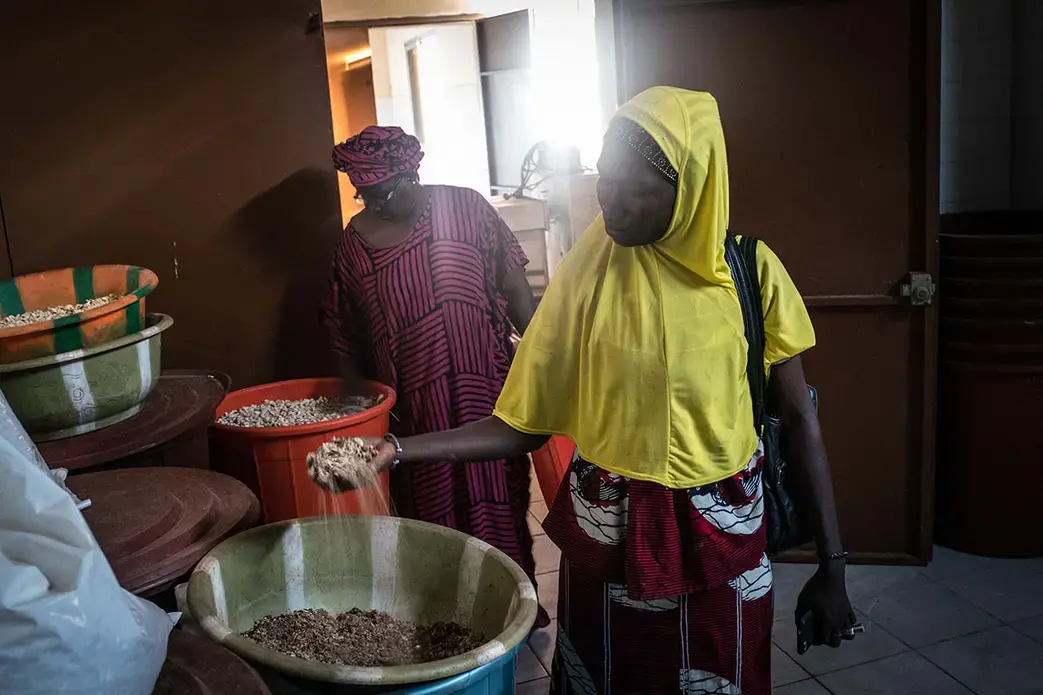 Awa Touré (left), the president of the women’s collective that manages the Kolondiéba cashew plant, and Astan Koné (right), an accountant for the collective, inspect rotten cashews they say can’t even be used to feed their animals. Image by Nichole Sobecki. Mali, 2017. 