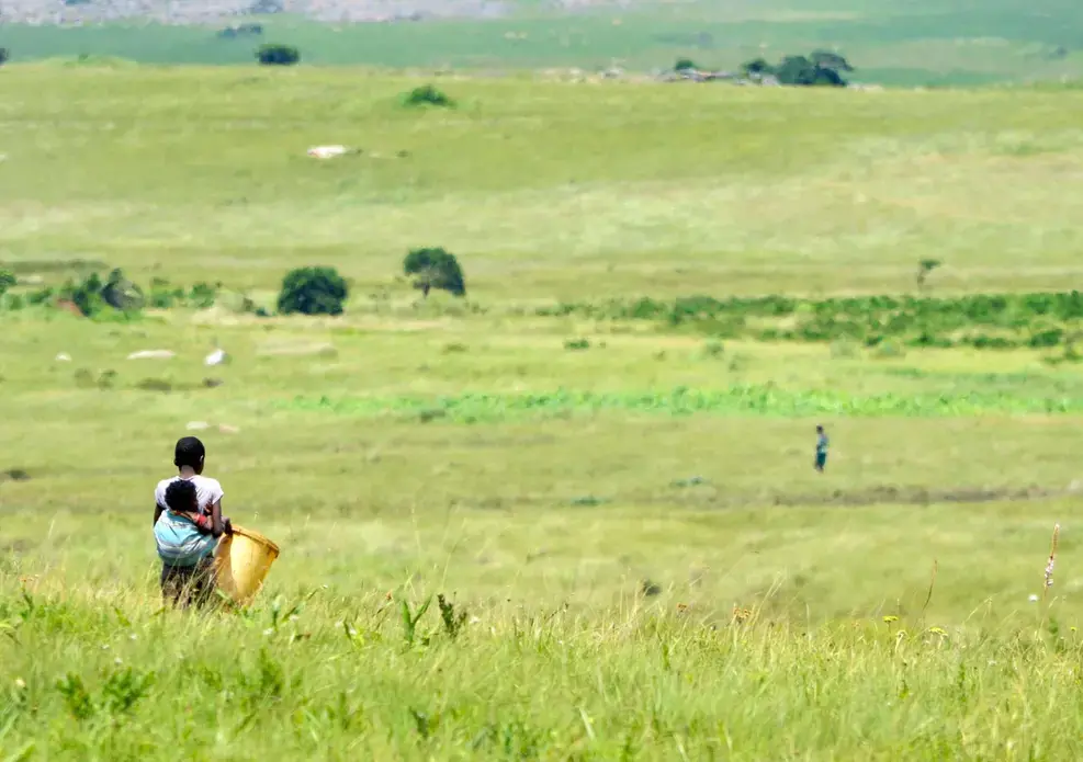 The proposed mine in the Amadiba area of the Eastern Cape has divided the community. Image by Mark Olalde. South Africa, 2016. The proposed mine in the Amadiba area of the Eastern Cape has divided the community. Image by Mark Olalde. South Africa, 2016.