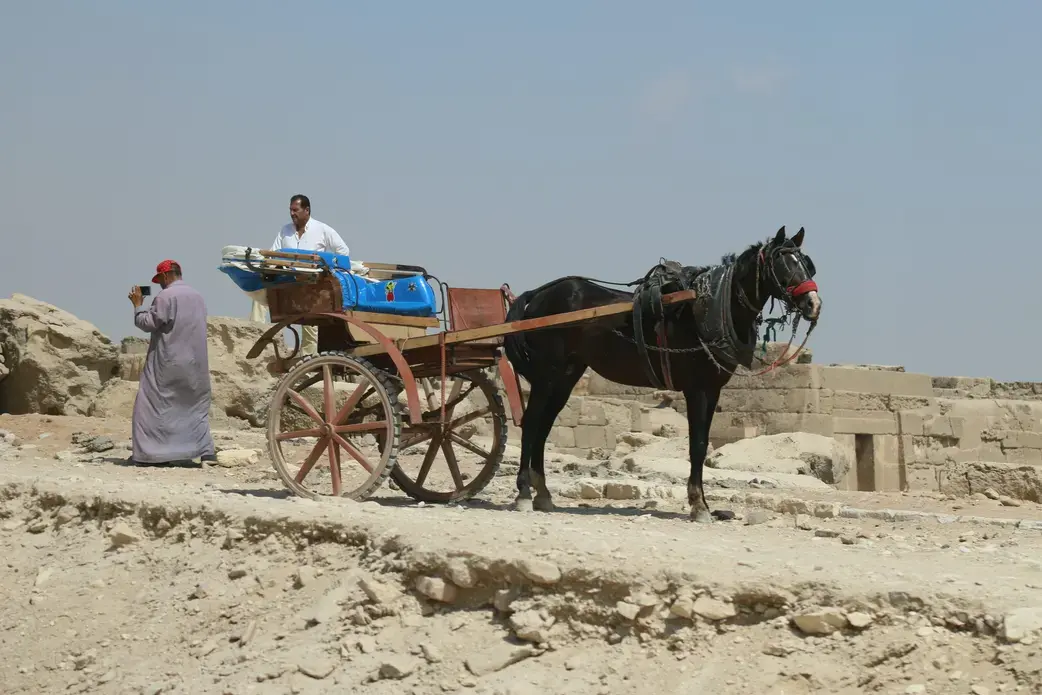 In Egypt, donkeys and wagons are used to haul people and loads, including containers full of water. Image by Fredrick Mugira. Egypt, 2019. In Egypt, donkeys and wagons are used to haul people and loads, including containers full of water. Image by Fredrick Mugira. Egypt, 2019.