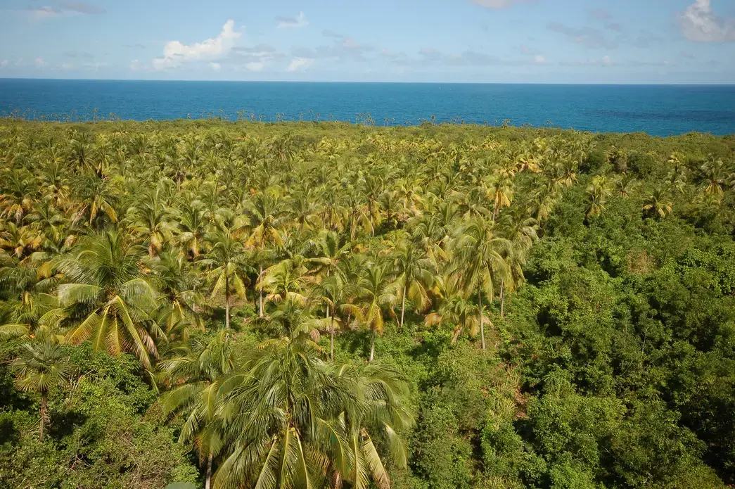The Guantanamo province in Cuba. Image by Libor Píška / Shutterstock. Cuba, undated. The Guantanamo province in Cuba. Image by Libor Píška / Shutterstock. Cuba, undated.