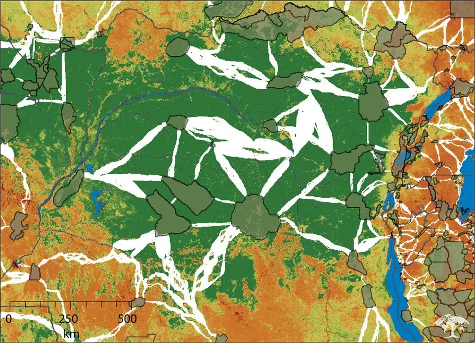 The areas in white are the recommended habitat corridors in the Congo established by the Woods Hole researchers. Image courtesy of Woods Hole Research Center. Media file: corridor_africa_lg.jpg