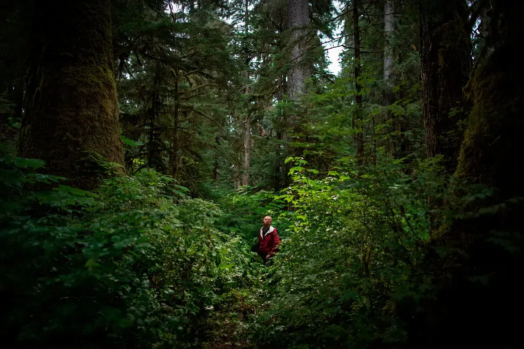 Retired State Trooper and local conservationist Bob Claus tours some of the last pristine old growth forest that remains on Prince of Wales Island, Alaska. Image by Joshua Cogan. United States, 2019. Retired State Trooper and local conservationist Bob Claus tours some of the last pristine old growth forest that remains on Prince of Wales Island, Alaska. Image by Joshua Cogan. United States, 2019.