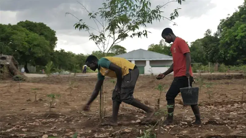 Maputo says it has no plans to evict farmers from their land, nor lease it to any foreign company. Image by Enrico Parenti. Mozambique, 2017.