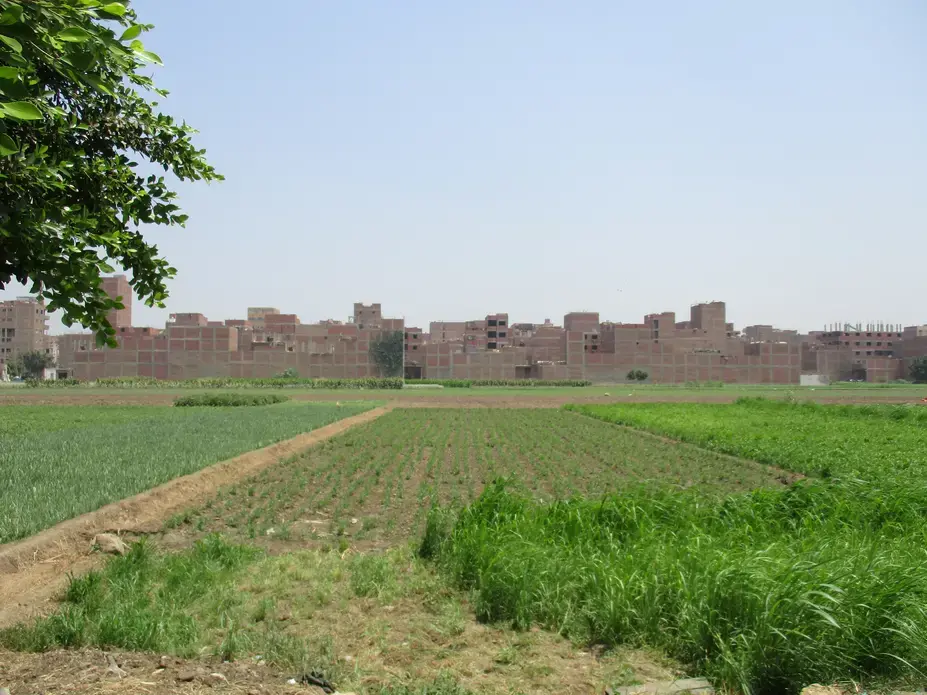 New informal development in a Western suburb of Cairo encroaches onto agricultural land. Image by Jahd Khalil. Egypt, 2016. New informal development in a Western suburb of Cairo encroaches onto agricultural land. Image by Jahd Khalil. Egypt, 2016.