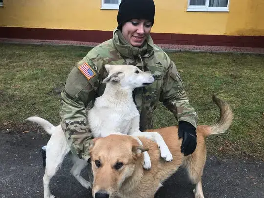 In Wisconsin, Her Patients Are Dogs and Cats. Now She's Treating Fellow Soldiers in Ukraine | Pulitzer Center In Wisconsin, Her Patients Are Dogs and Cats. Now She's Treating Fellow Soldiers in Ukraine | Pulitzer Center