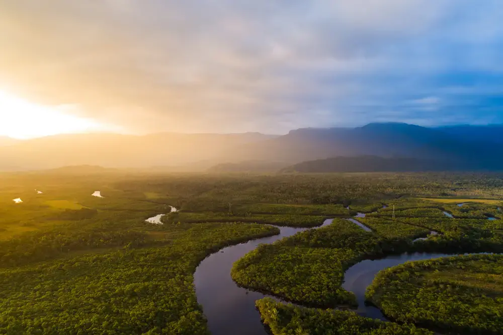 Imagem de Shutterstock. Brasil, data desconhecida.