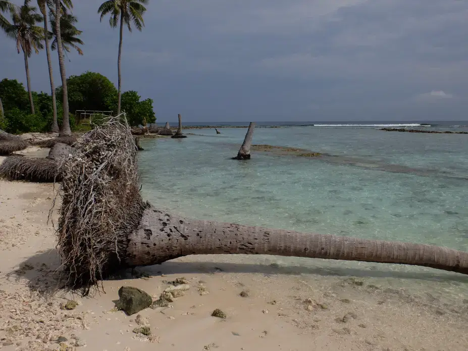 In the Maldives, most of the country's 1,200 coral islands experience shore erosion, which environmentalists attribute to the degradation of reef systems, harbor construction, and storm surges. Image by Kai Schultz. Maldives, 2017. In the Maldives, most of the country's 1,200 coral islands experience shore erosion, which environmentalists attribute to the degradation of reef systems, harbor construction, and storm surges. Image by Kai Schultz. Maldives, 2017.