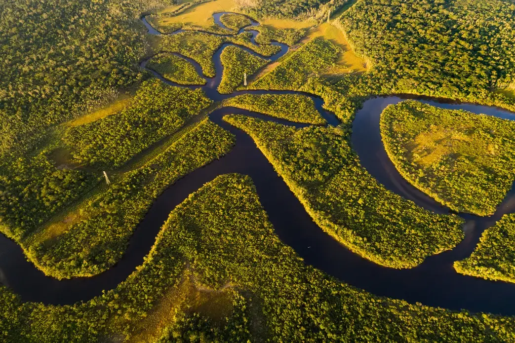 Amazon rainforest in Brazil. Image by Gustavo Frazao / Shutterstock. Brazil, undated.