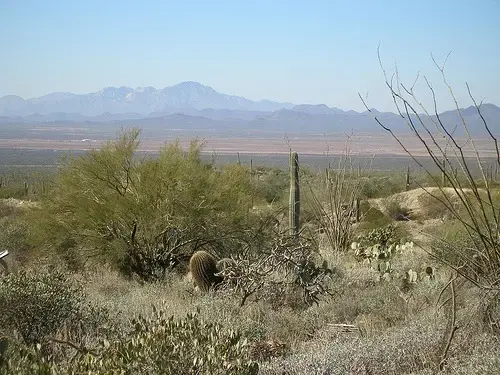 The southern Arizona desert, where many members of the Tohomo O’odham nation reside, doubles as a passageway for illegal immigrants. Image by kansas_city_royalty, Flickr. United States, 2009. Media file: pic_sonoran desert.jpg