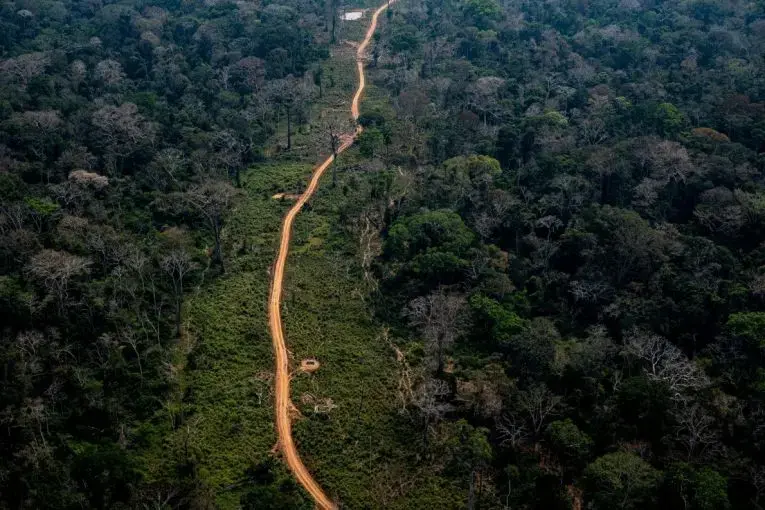 Amazon rainforest area in Acre. Deforestation points are easily identifiable by satellite imagery along the roads. Image by Marcio Pimenta. Brazil, 2019. 