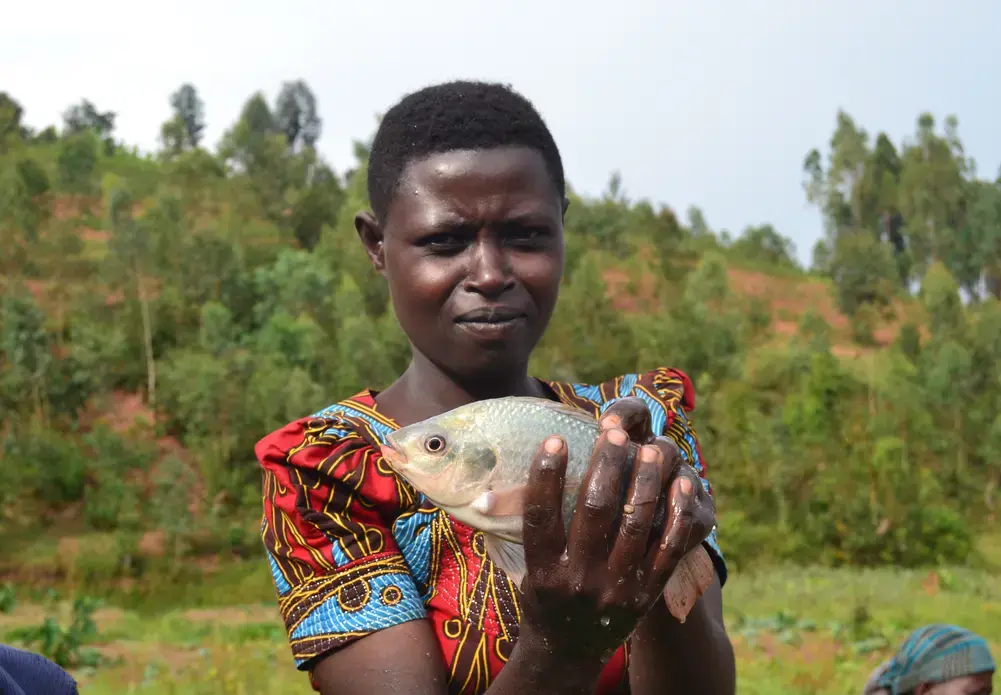 A young member of the Amahoro fish farming cooperative holds up one of the several fish the women catch each day. Image by Camille Behnke. Rwanda, 2019. A young member of the Amahoro fish farming cooperative holds up one of the several fish the women catch each day. Image by Camille Behnke. Rwanda, 2019.