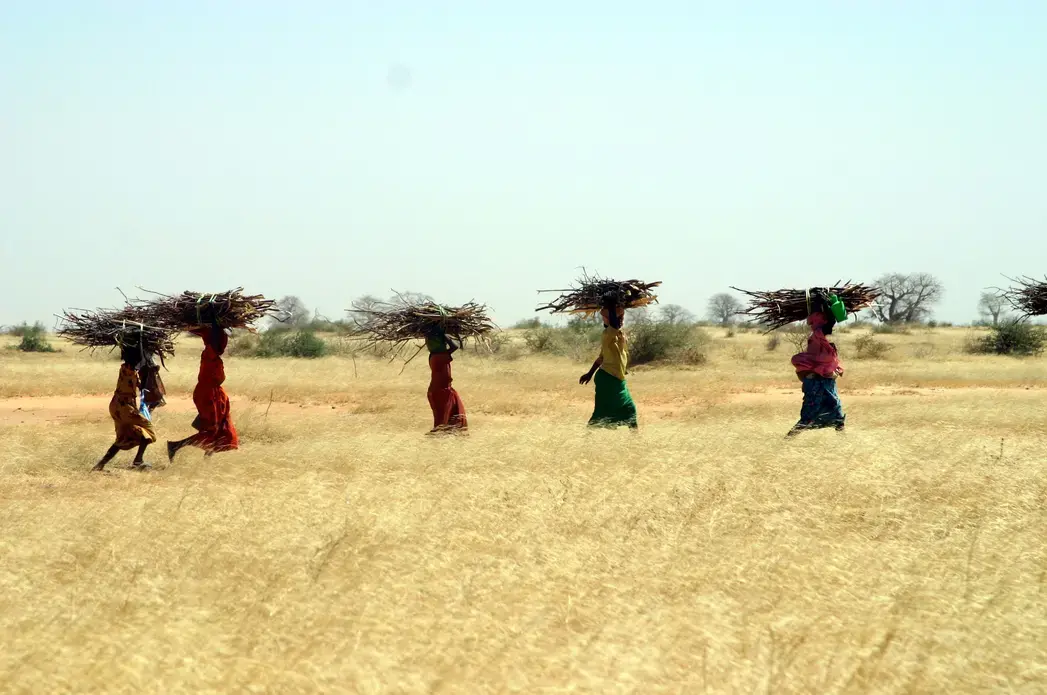 Image by Jon Sawyer. Sudan, 2006. Media file: woodfivewomen.pg_.jpg