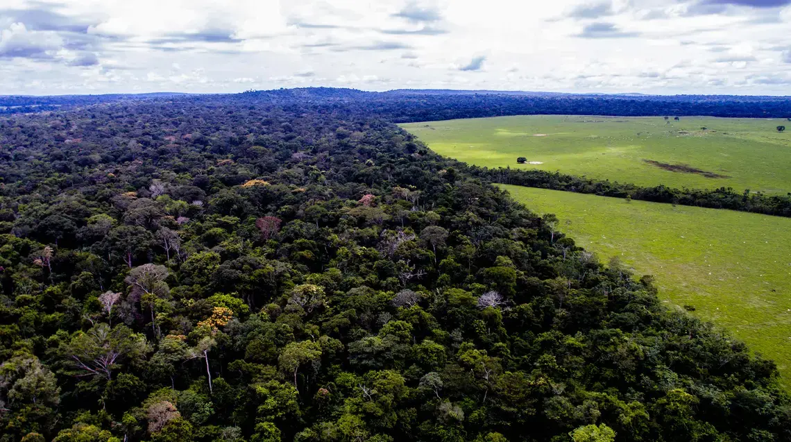 The forest and the farm near the Roosevelt River, Brazil. Image by Caio Mota. Brazil, 2019. The forest and the farm near the Roosevelt River, Brazil. Image by Caio Mota. Brazil, 2019.