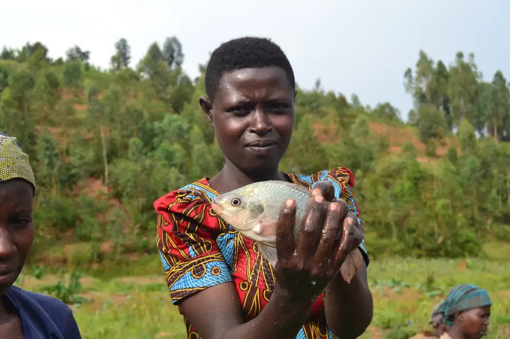 A member of the Amahoro fish farming cooperative holds up a fish she has caught. Image by Cammie Behnke. Rwanda, 2018. A member of the Amahoro fish farming cooperative holds up a fish she has caught. Image by Cammie Behnke. Rwanda, 2018.