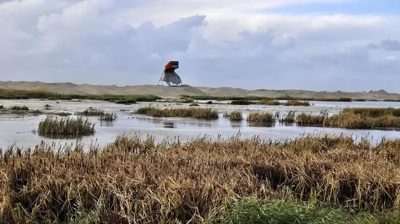 A wildlife-watching tower stands over a newly-built island in a lake near Amsterdam. The island is part of an ambitious restoration effort aimed at minimizing ecological damage caused by a nearby dam. Image by Tristan Baurick / Times-Picayune | The Advocate. The Netherlands, 2020. A wildlife-watching tower stands over a newly-built island in a lake near Amsterdam. The island is part of an ambitious restoration effort aimed at minimizing ecological damage caused by a nearby dam. Image by Tristan Baurick / Times-Picayune | The Advocate. The Netherlands, 2020.