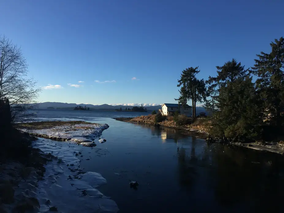 The salmon swim upstream from the sea into the island in the spring. Image by Brooke Stephenson. United States, 2019. The salmon swim upstream from the sea into the island in the spring. Image by Brooke Stephenson. United States, 2019.