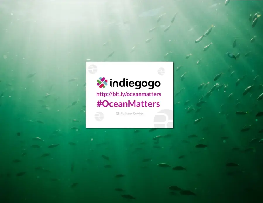 Media file: indiegogo-background.png