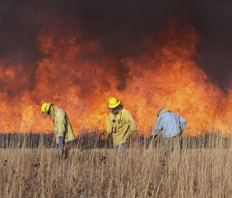 Volunteer crews at Konza Prairie Biological Station have a careful system for burning exactly the areas intended. Image by Kyler Zelen / For Harvest Public Media. United States, 2020. Volunteer crews at Konza Prairie Biological Station have a careful system for burning exactly the areas intended. Image by Kyler Zelen / For Harvest Public Media. United States, 2020.
