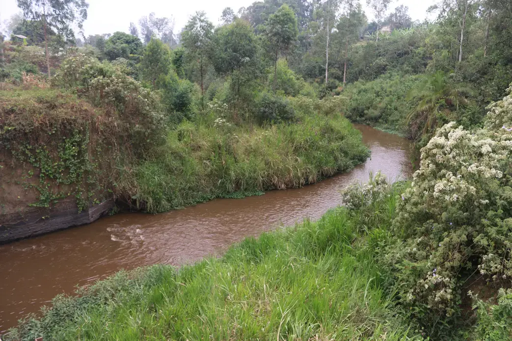 River Rwizi in Southwestern Uganda. Officials say River Rwizi, a life-line river for about five million people has had up to 80 percent of its water dry up. Image by Fredrick Mugira. Uganda, 2019. River Rwizi in Southwestern Uganda. Officials say River Rwizi, a life-line river for about five million people has had up to 80 percent of its water dry up. Image by Fredrick Mugira. Uganda, 2019.