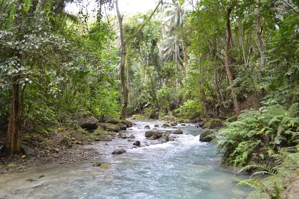 Image by Creative Commons. Philippines, 2017. Image by Creative Commons. Philippines, 2017.