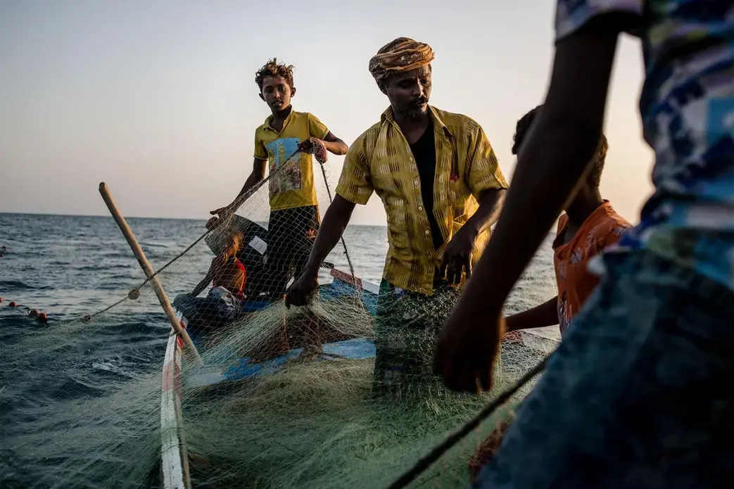 Shafai (center) and his sons, Isa (left) and Musa (right), pull in their nets, hoping they'll be filled with fish. Image by Alex Potter. Yemen, 2018.
