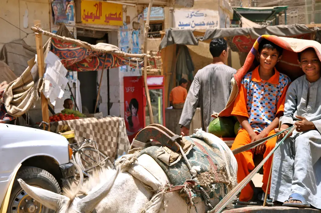 In Egypt's congested villages, people—even children—get around via makeshift donkey carts. Image by Lauren E. Bohn. Egypt, 2013. Media file: DSC_0445_6330.JPG