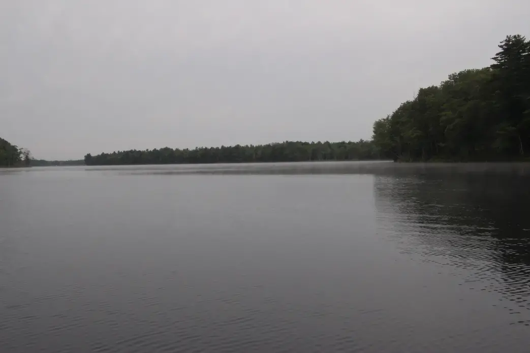 The Penobscot River in Maine. Image by Isaac Kestenbaum. United States, 2018. The Penobscot River in Maine. Image by Isaac Kestenbaum. United States, 2018.