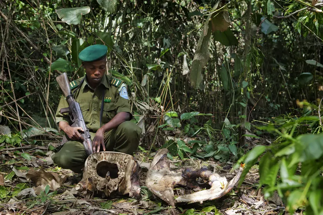Image by Francesca Tosarelli. DRC, 2013. Media file: _MG_2388.jpg