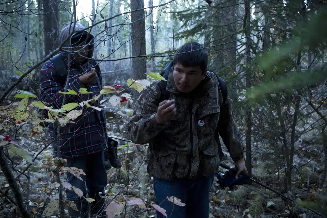 Lucas Shisheesh (right, 21 years old) and Adrian Hookimaw (19) pick wild berries while hiking from a fishing spot on the banks of the Attawapiskat river. Like many other young people I met in Attawapiskat, Lucas spends a great deal of time on the land after being taught by his father how to navigate the wilderness. Image by David Maurice Smith. Canada, 2016. Lucas Shisheesh (right, 21 years old) and Adrian Hookimaw (19) pick wild berries while hiking from a fishing spot on the banks of the Attawapiskat river. Like many other young people I met in Attawapiskat, Lucas spends a great deal of time on the land after being taught by his father how to navigate the wilderness. Image by David Maurice Smith. Canada, 2016.