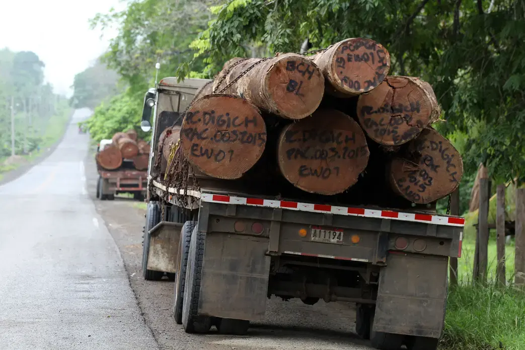 Deforestation in the Darién gap affects indigenous people. Image by Guido Bilbao. Panama, 2019. Deforestation in the Darién gap affects indigenous people. Image by Guido Bilbao. Panama, 2019.