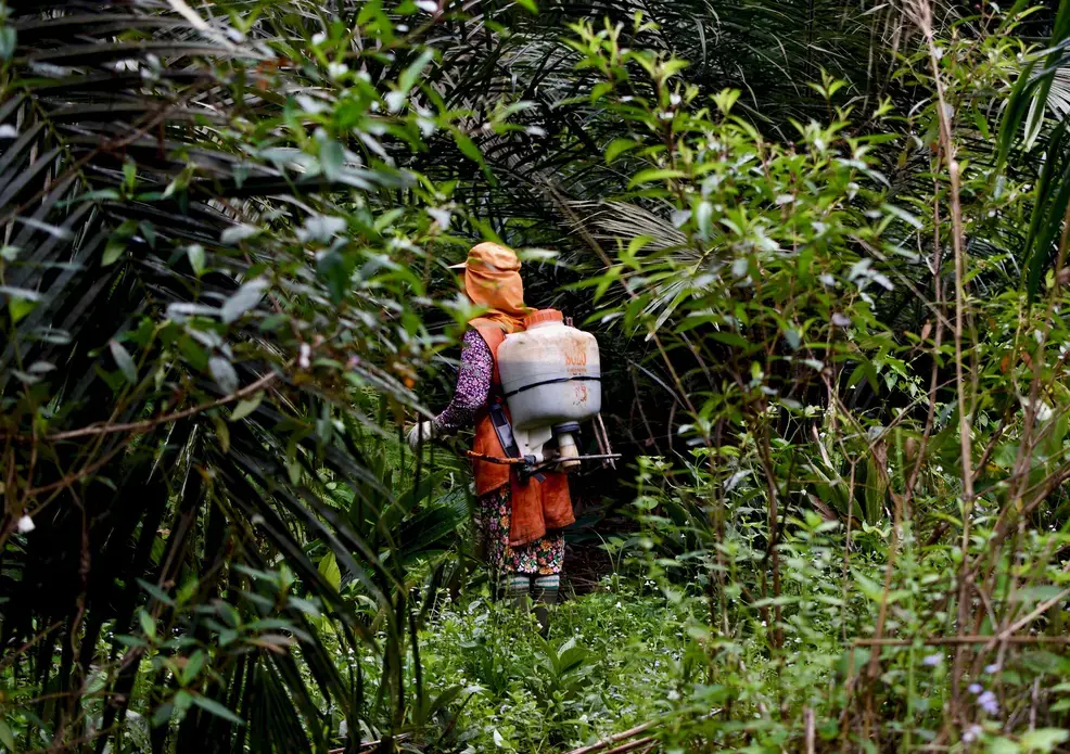 Women workers spray pesticides on an industrial plantation in Riau, Indonesia. Image by Wudan Yan. Indonesia, 2017. Women workers spray pesticides on an industrial plantation in Riau, Indonesia. Image by Wudan Yan. Indonesia, 2017.