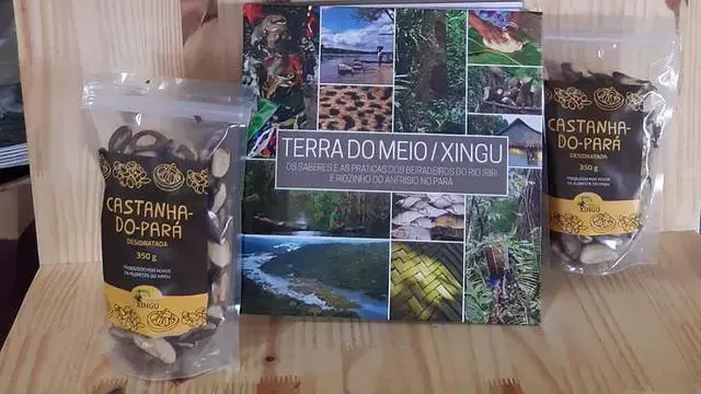Cultivo e venda de castanha-do-pará está entre as atividades sustentáveis promovidas pela população da região. Imagem cortesia de CBN.