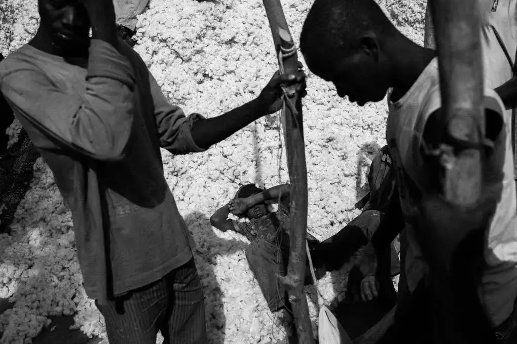 Local farmers are seen at the so-called market, a collection center for cotton, in a village near Dano. Image by Jošt Franko. Burkina Faso, 2015.
Just before the market day, farmers help each other press the cotton into a huge, hard mass, so they're able to weigh their harvest. Image by Jost Franco. Burkina Faso, 2016. Local farmers are seen at the so-called market, a collection center for cotton, in a village near Dano. Image by Jošt Franko. Burkina Faso, 2015.