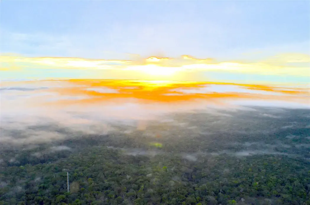 Amazon forest at sunrise. An experiment starting next year will try to determine if higher carbon dioxide will enhance plant growth. Image by Dan Grossman. Brazil, 2016. Courtesy Daniel Grossman