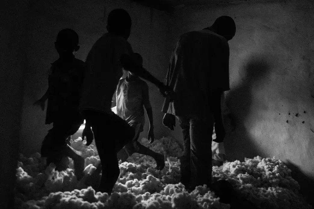 Family members of Issa Gira walk on the pile of cotton after it was brought into the warehouse next to their home in Boromo. Issa Gira, 67, has been growing cotton for 30 years. Image by Jost Franko. Burkina Faso, 2015. Media file: jost_faso2.jpg