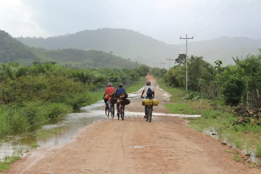 A dirt road near Dinant Corporation's El Tumbador plantation. Image by ICIJ. Honduras, 2014. A dirt road near Dinant Corporation's El Tumbador plantation. Image by ICIJ. Honduras, 2014.