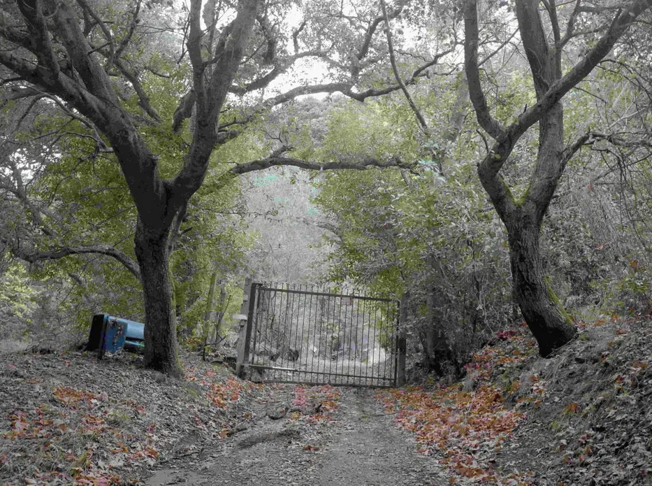 This parcel of land in Sunol, California, was seized by unratified treaty on May 28, 1851 from Indigenous caretakers for the benefit of Auburn University in Alabama. Reporting from High Country News found the US paid no compensation for the land that formed Auburn University’s new endowment. Image by Kalen Goodluck/ High Country News. United States, undated. This parcel of land in Sunol, California, was seized by unratified treaty on May 28, 1851 from Indigenous caretakers for the benefit of Auburn University in Alabama. Reporting from High Country News found the US paid no compensation for the land that formed Auburn University’s new endowment. Image by Kalen Goodluck/ High Country News. United States, undated.