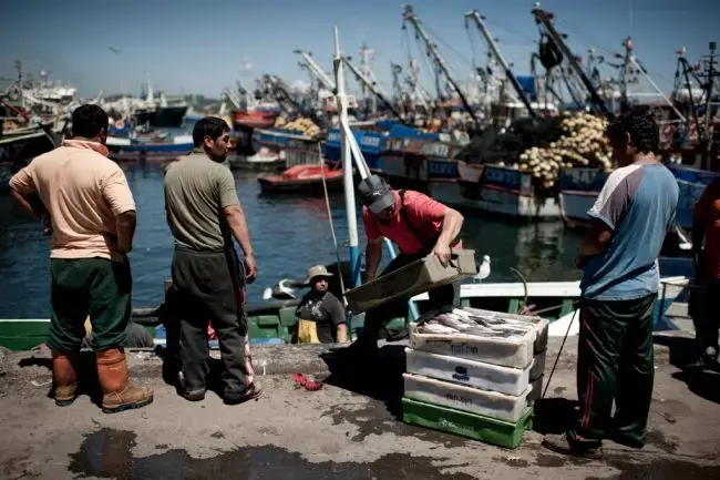 Crewmen stacking boxes of fish in San Vicente, Talcahuano, in the Bio Bio Region of Chile. Image by © Fernando Rodriguez. Chile, 2013. Media file: 20130520-fishing-chile07.jpg