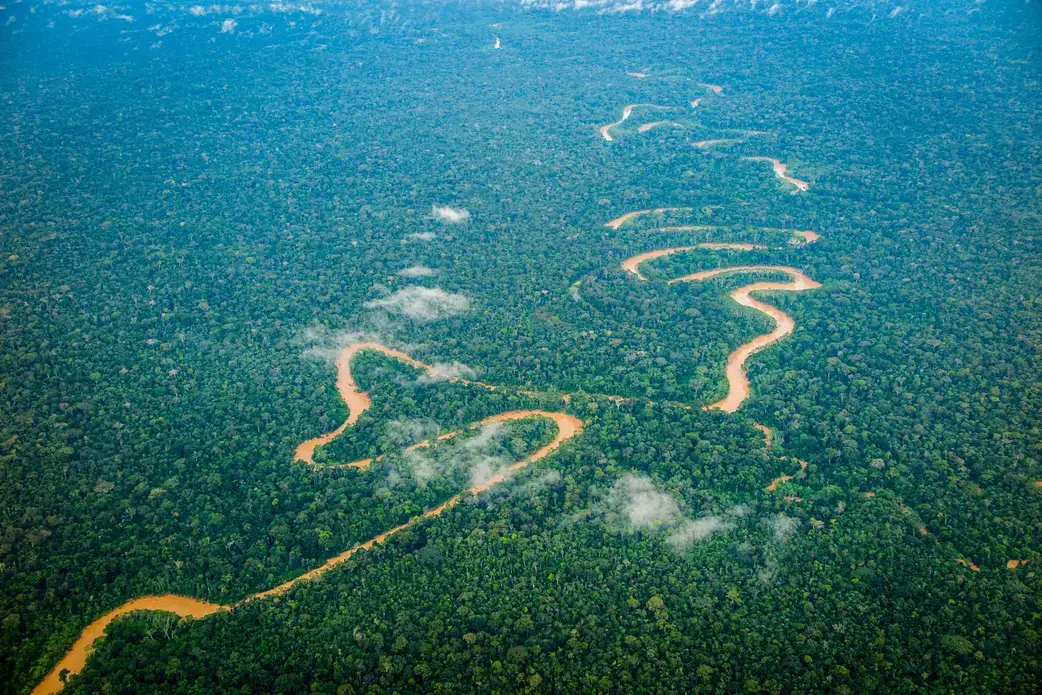 Image by Jason Houston. Peruvian Amazon, 2015. Media file: amazon-uncontacted-tribes-houston.jpg