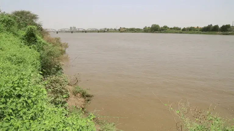 The Nile basin is rich in natural tangible and intangible resources, which are witnessing massive processes of grabbing in the recent decades. Image by Fredrick Mugira. Sudan, 2019. The Nile basin is rich in natural tangible and intangible resources, which are witnessing massive processes of grabbing in the recent decades. Image by Fredrick Mugira. Sudan, 2019.